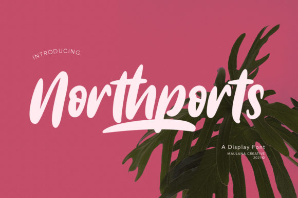 Northports: A Playful Display Font for Scroll-Stopping Campaigns